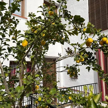 Apartment Albaizin *