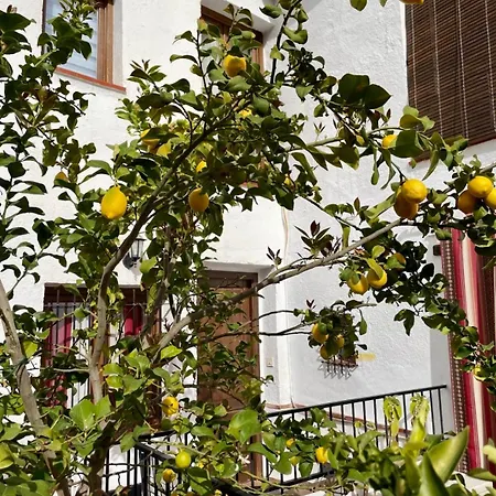 Casita Del Albaizin Granada