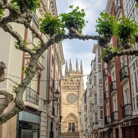 Dali's Sanctuary In - Private Parking Free Apartment