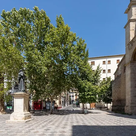 Garzas Del Realejo Luxury Apartment