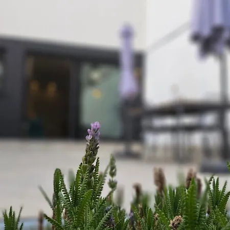 Albayda Garden *