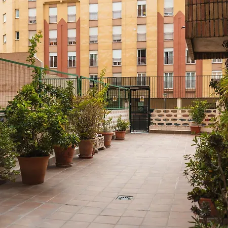 Apartment Flores