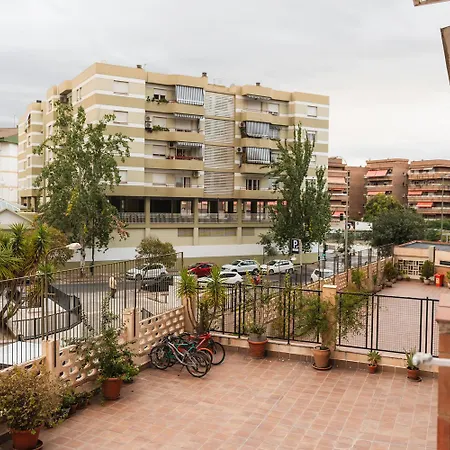 Flores Granada