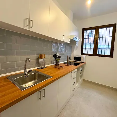Apartamento Plaza San Agustin 3000