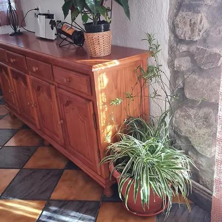 Holiday home El Centenal