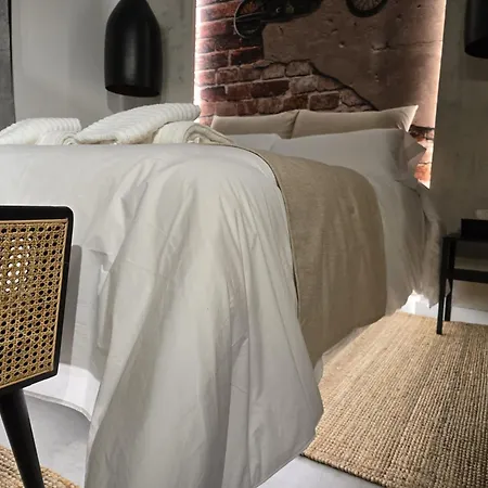 Apartment Loft Carmenes