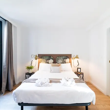 Apartment Bibrambla Granada