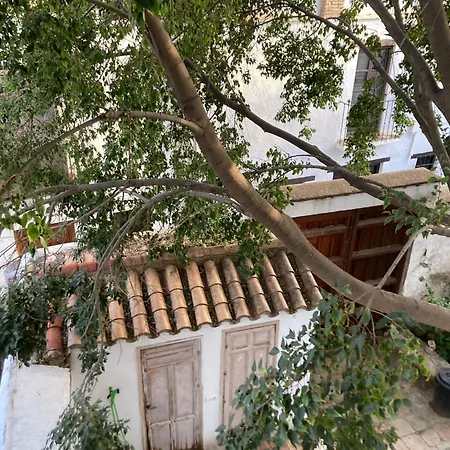 Carmen Del Almencino Homestay