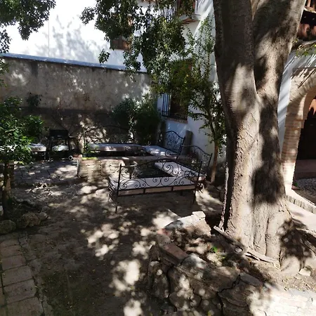 Homestay Carmen Del Almencino *