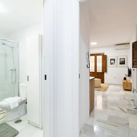 Centrico Reformado Apartment