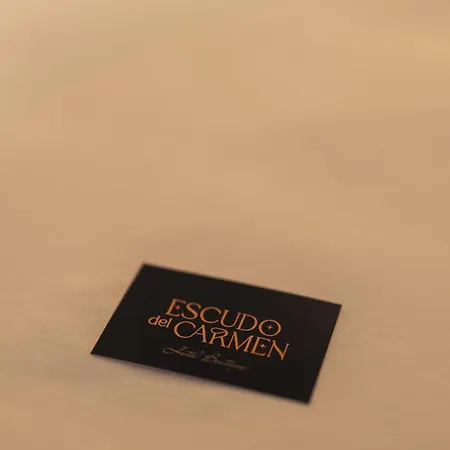 Boutique Escudo Del Carmen Hotel Granada