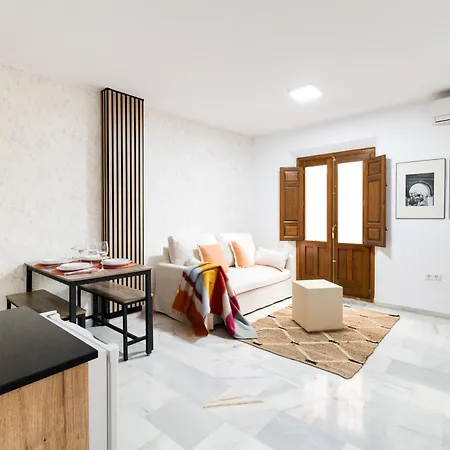Centrico Reformado Apartment Granada