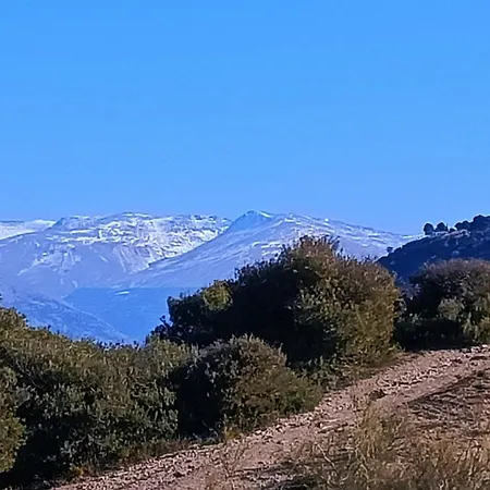 Casa Solea Albaycin Granada