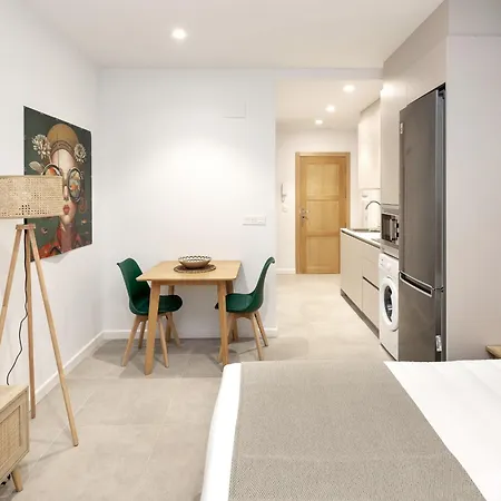 Nest Flats Triunfo Apartment Granada