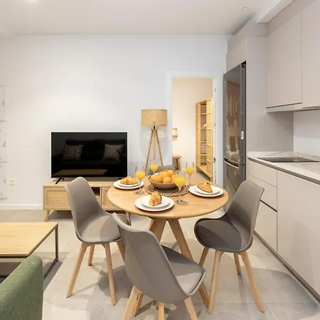 Nest Flats Triunfo Apartment Granada