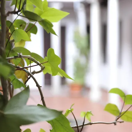 Columnas Apartamento