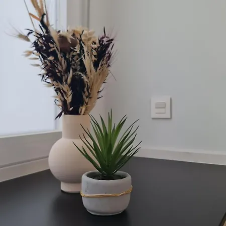 Apartment Navas Penthouse 302 By Florentia Homes *