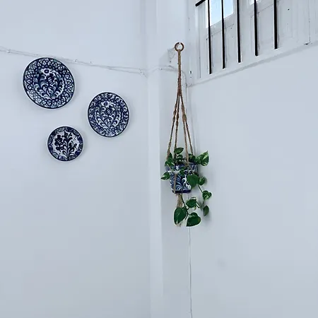 Apartment Casa 1919 Near Cathedral Atico *