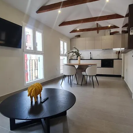 Navas Penthouse 301 By Florentia Homes Apartment Granada