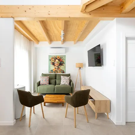 Nest Flats Triunfo Apartment Granada