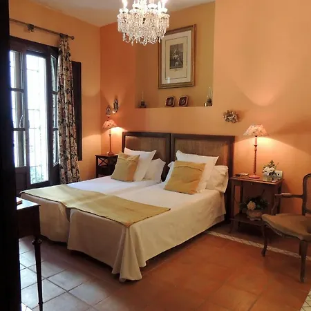 Nocleg ze śniadaniem Palacio Del Cobertizo De Santa Ines 4*