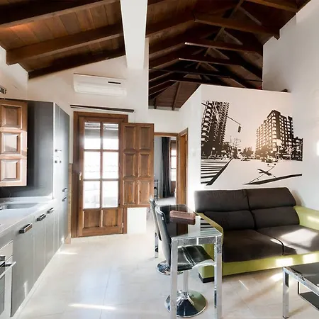 Loft Wifi Centro Espectacular Terraza Con Todos Servicios * Granada