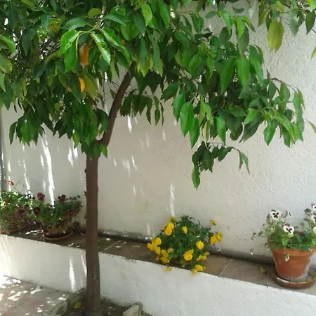Konukevi La Casita Del Corralon Granada