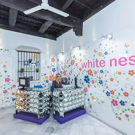 White Nest Hostal