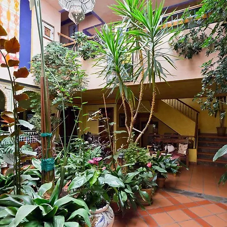De Mecina Goiabeiras