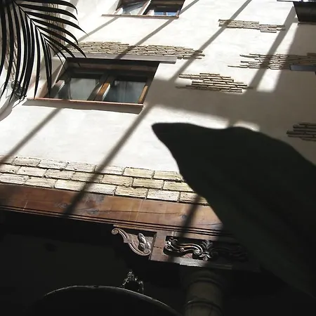 Arte Vida & Granada