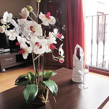 Apartamento Turísticos Nieves *