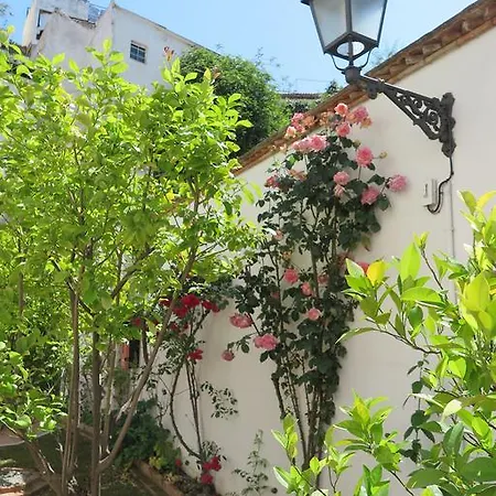 Apartamento Albaicin Patio