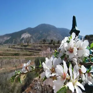 Encina Centenaria Otel 2*