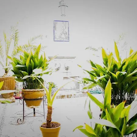 Hotel Jardines Granada