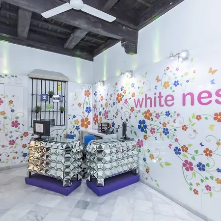 White Nest *