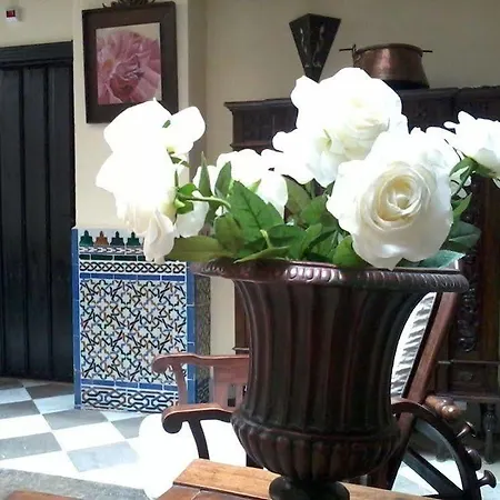 Rosa De Oro Granada