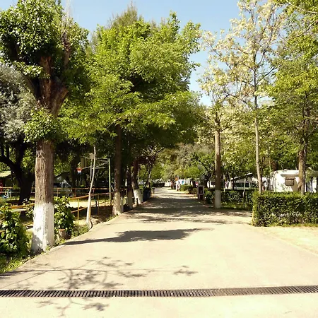 Sierra Nevada Granada