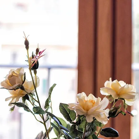 Bright & Elegant Centre 3 Bedroom 公寓