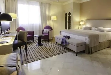 阿尔贝辛炜森酒店 格拉纳达