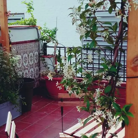 Pensión Conde Cecilio 2*