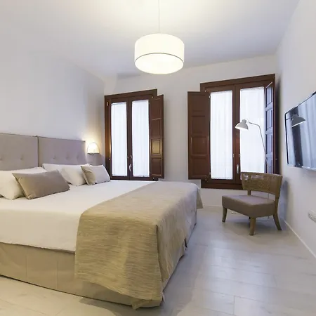 Shine Alcaiceria Apart Otel Granada
