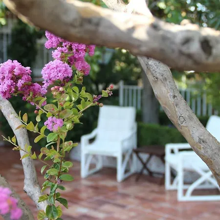 Vakantiehuis El Jardin De La Abuela