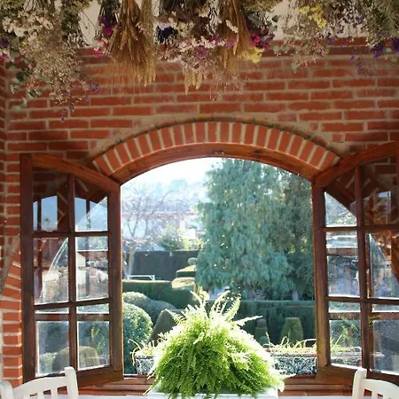Vakantiehuis El Jardin De La Abuela Granada