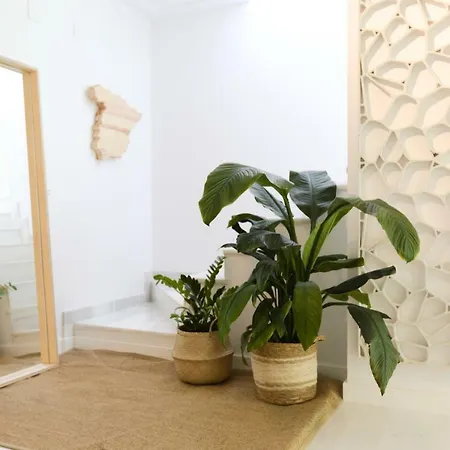 De Diseño Con Jacuzzi Privado