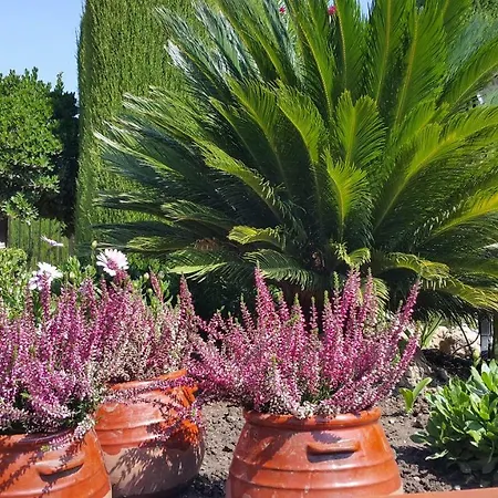 El Jardin De La Abuela * Granada