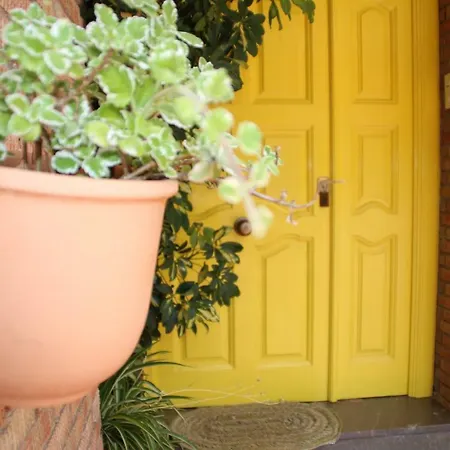 El Jardin De La Abuela Granada