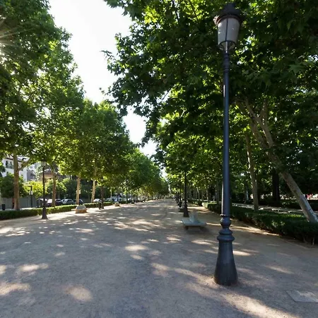 Paseo Del Salón Apartamento