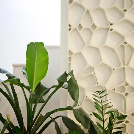 De Diseño Con Jacuzzi Privado Granada