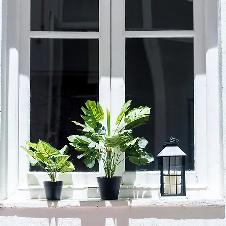 Apartamento San Miguel Alta