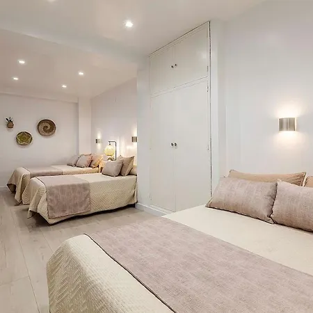 Great Centre Apartment Granada